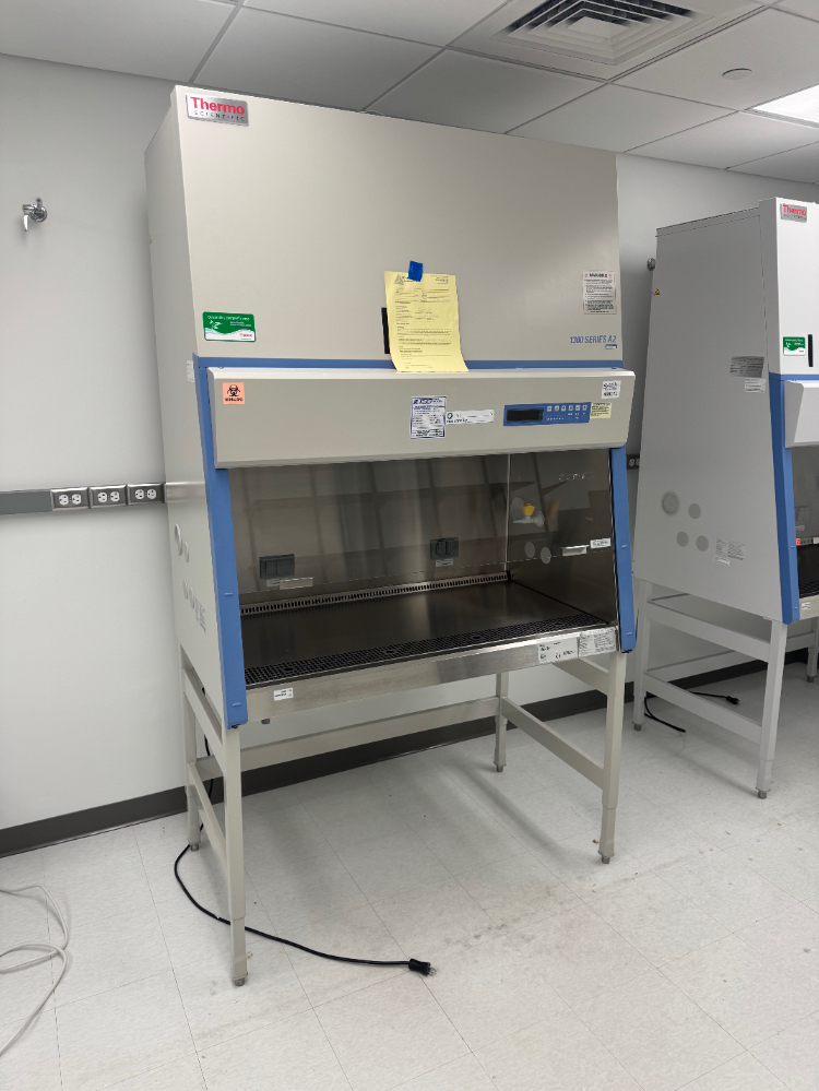Image of Thermo 1300 Series A2 4' BioSafety Cabinet